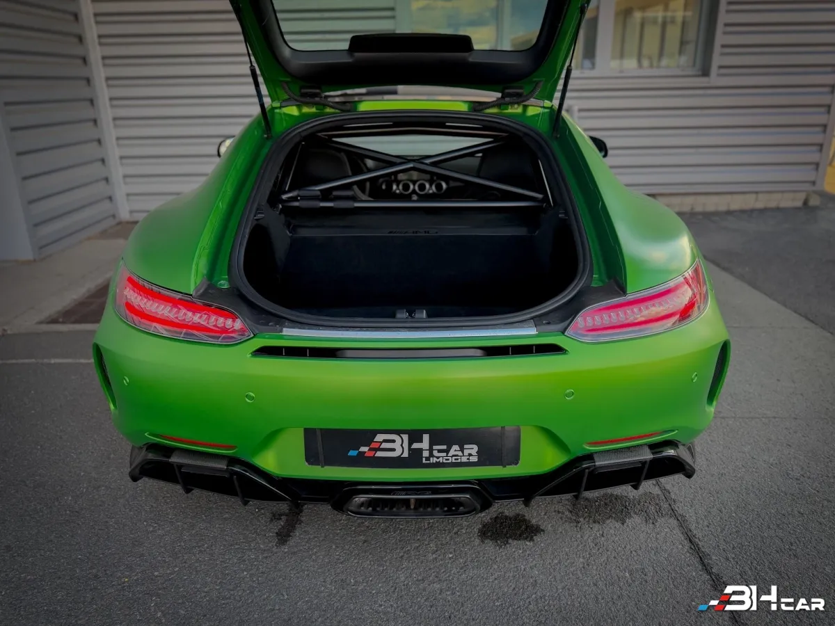 Mercedes AMG GT R - photo 15