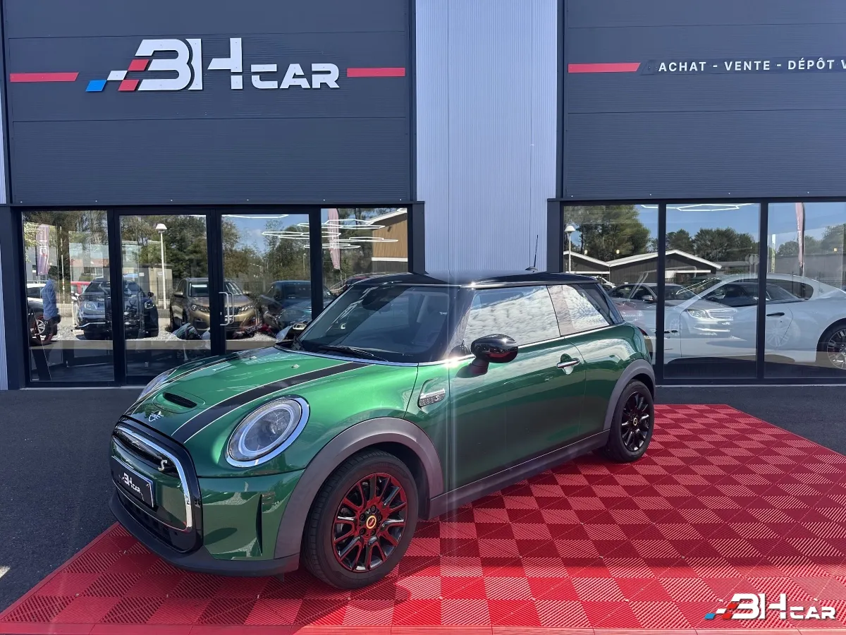 Mini Mini Electric