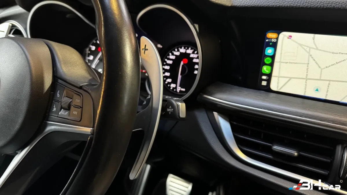 Alfa Romeo Stelvio - photo 25