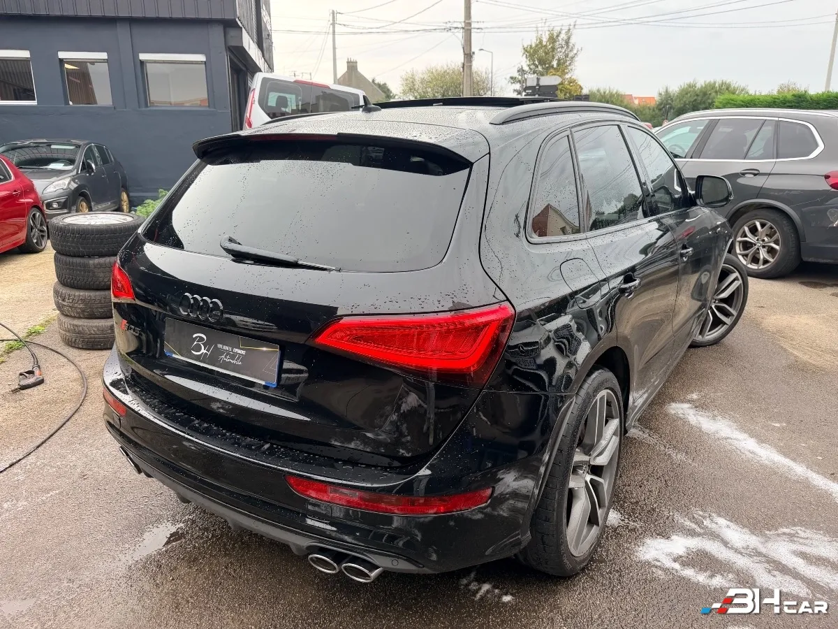 Audi Sq5 - photo 16