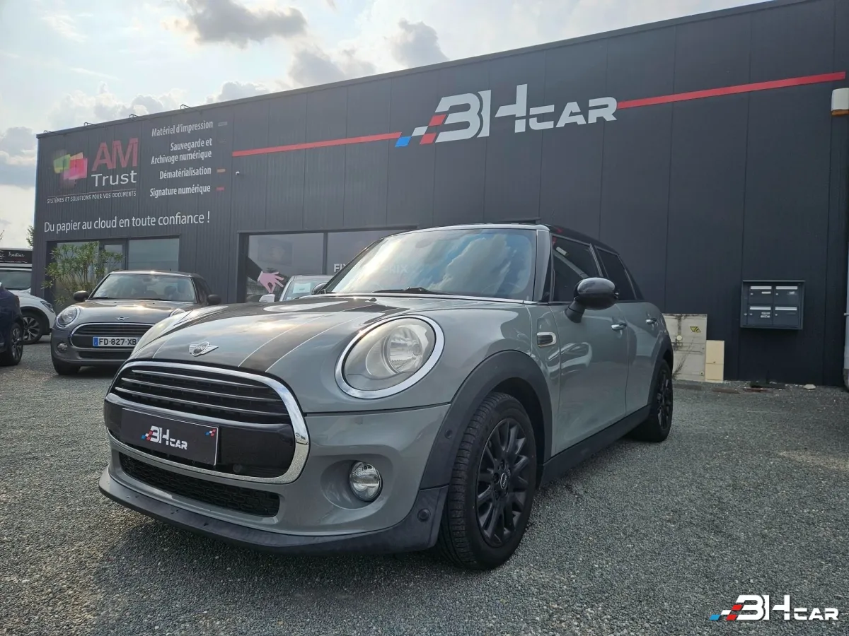 Mini Mini