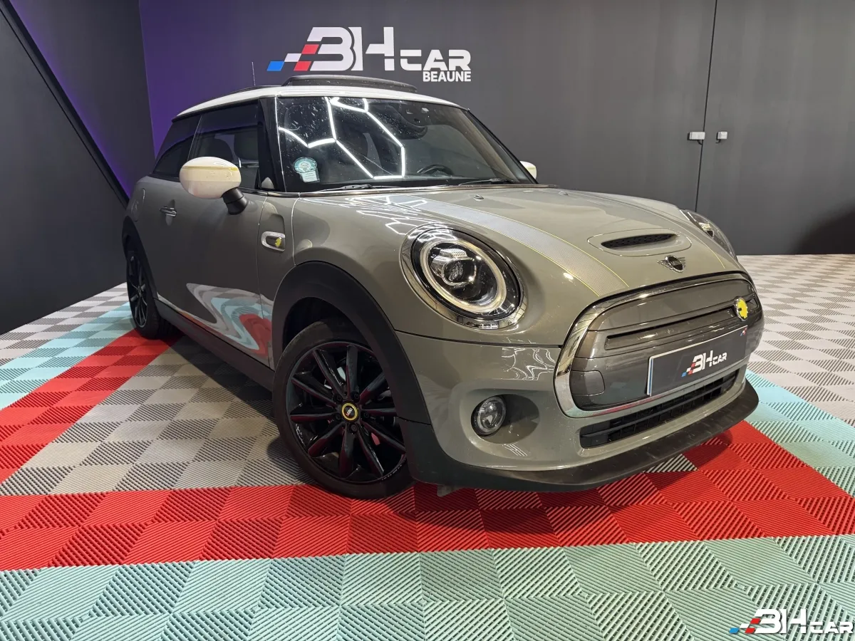 Mini Mini Electric