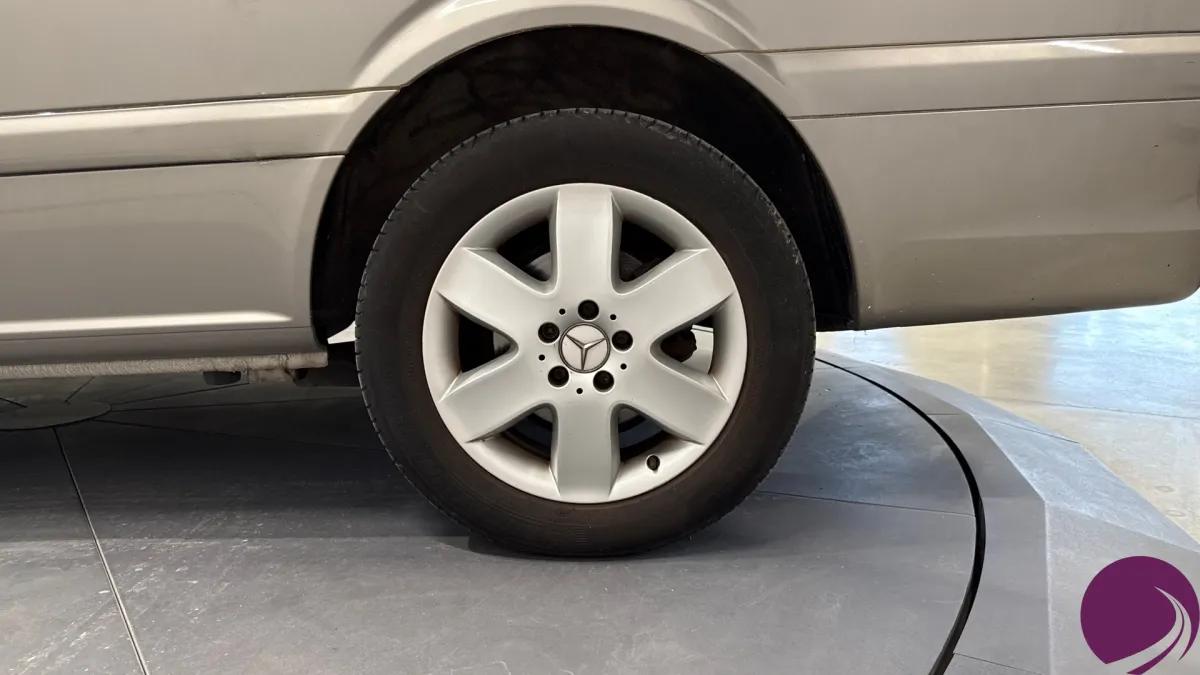 Mercedes Viano
