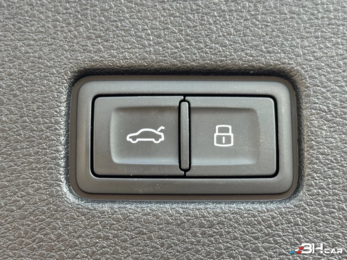 Audi Q8 - photo 19