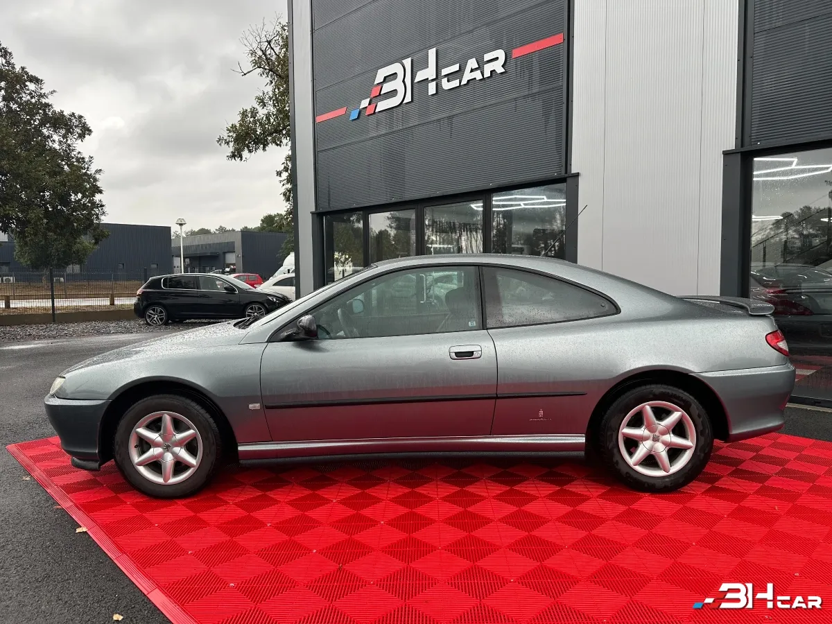 Peugeot 406 - photo 3