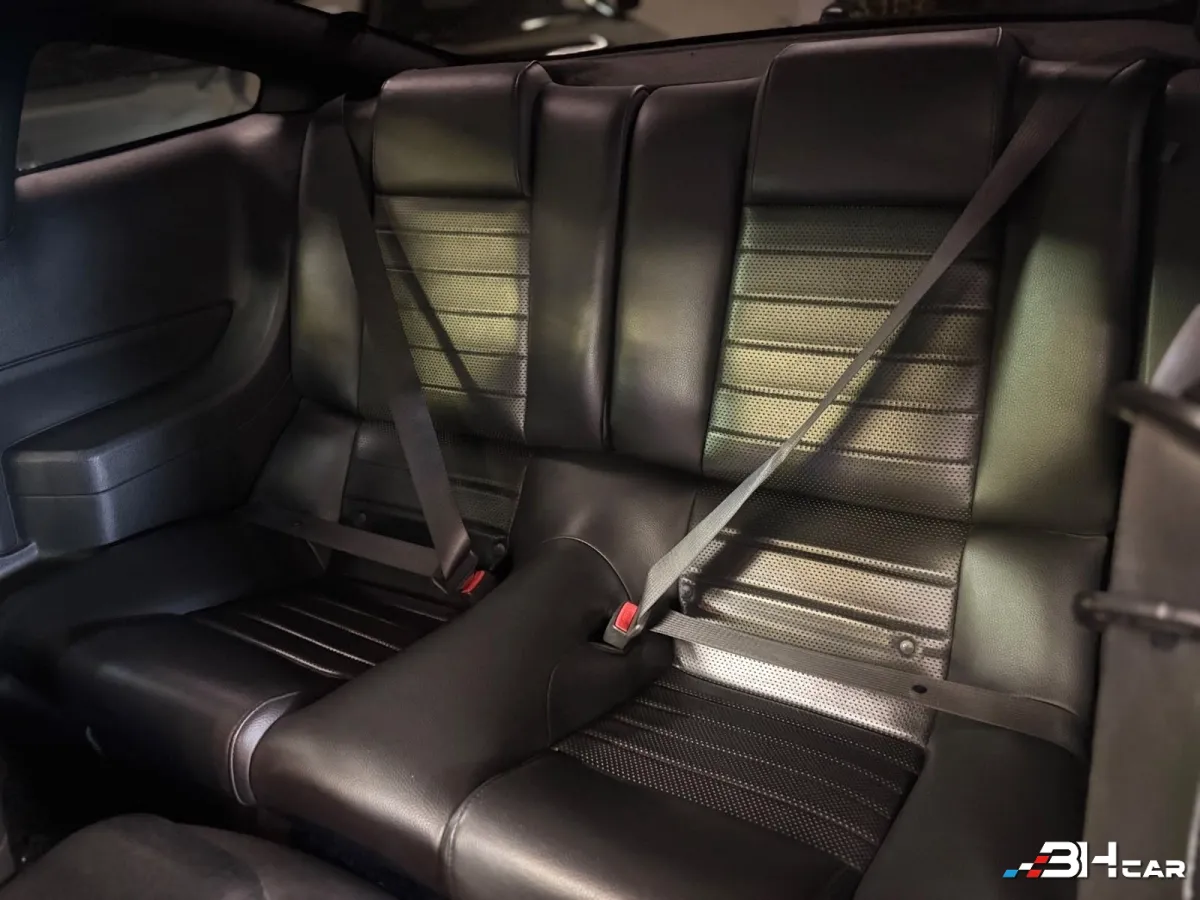 Ford Mustang - photo 19