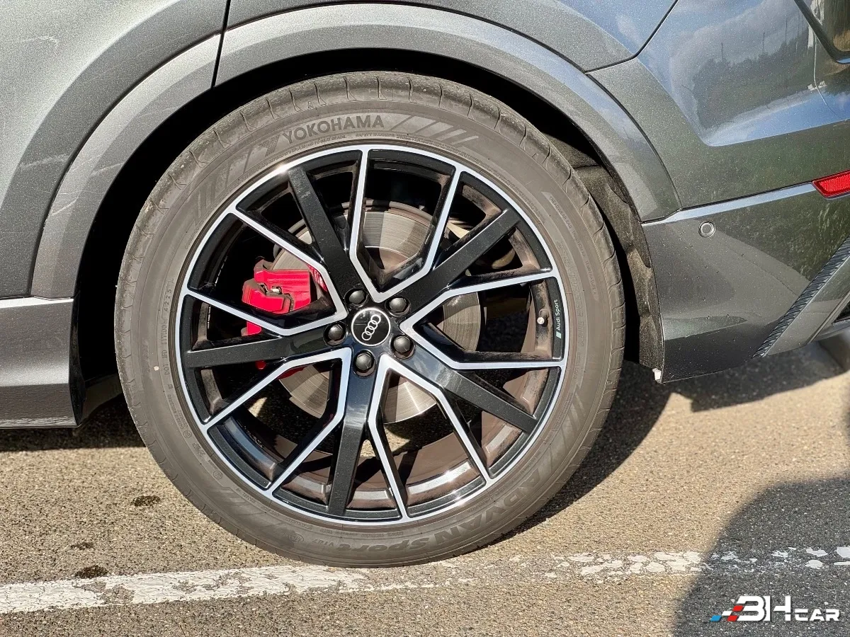 Audi Q8 - photo 16