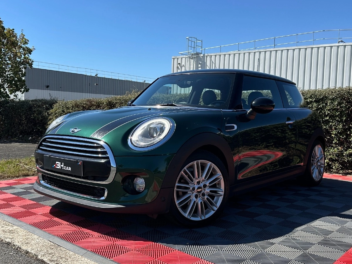 Mini Mini