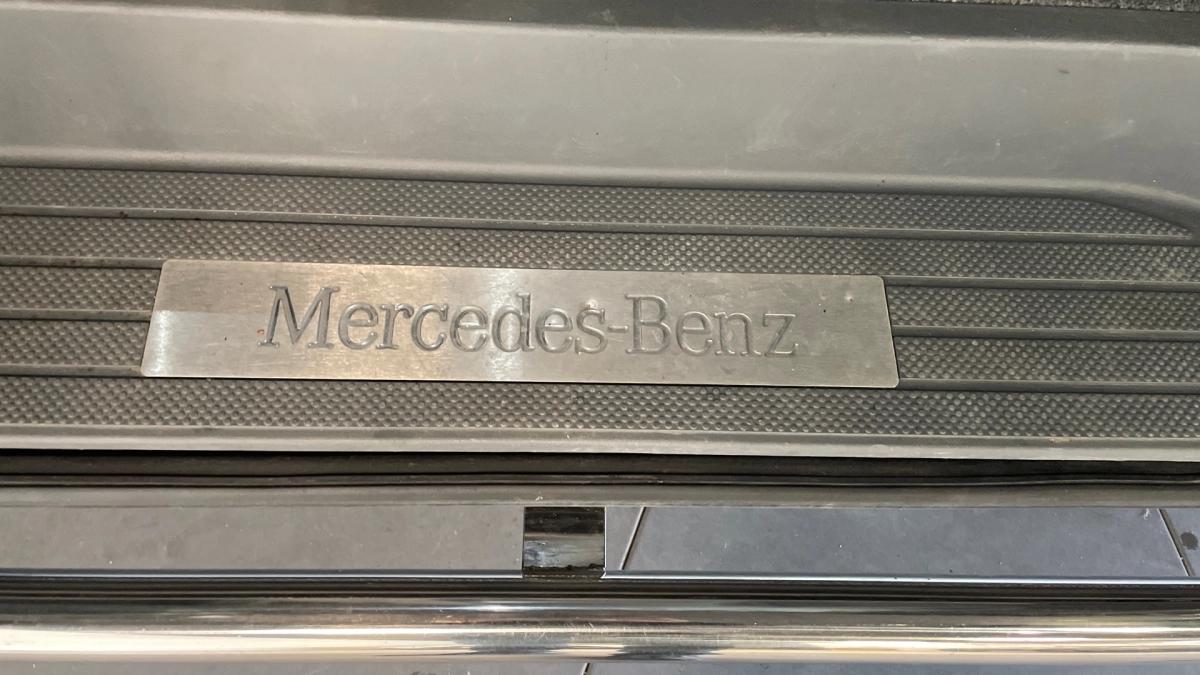 Mercedes Viano