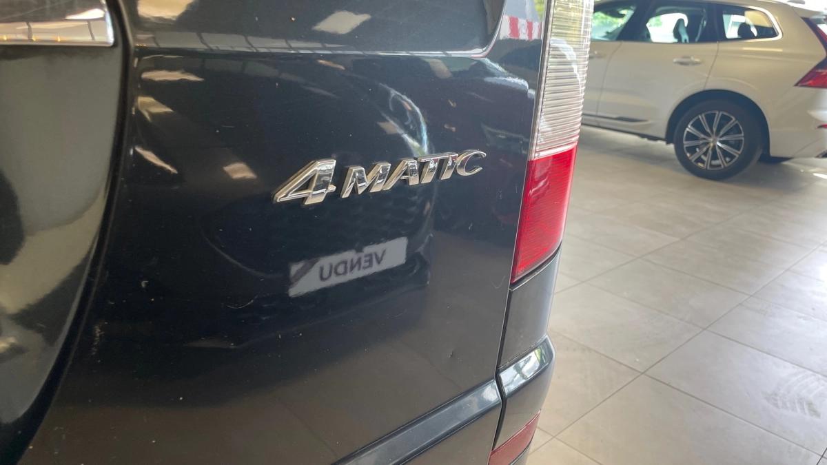 Mercedes Viano