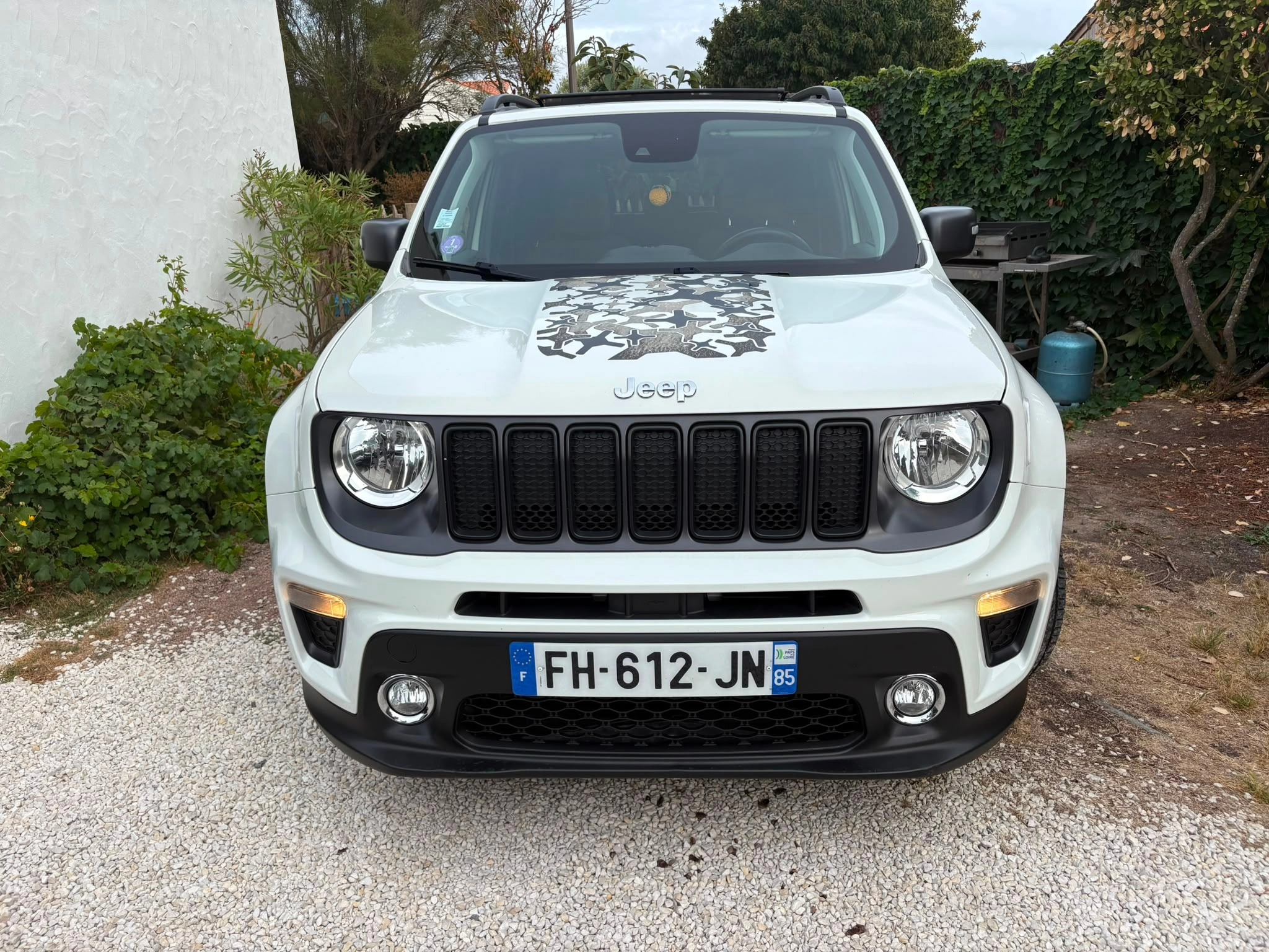 Jeep Renegade 1.0 T-GDI 120 NIGHT EAGLE 2WD — photo 2